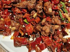 -直隶安家牛肉罩饼(建华店)