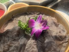 -蜀香居鲜毛肚火锅