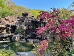 -苏州上方山国家森林公园