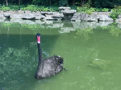 -扬州瘦西湖温泉