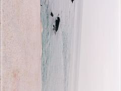 -阿军排档·烧烤