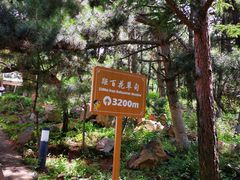 -白草畔自然风景区