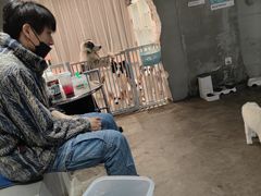 -浣熊柯尔鸭土拨鼠·电玩咖