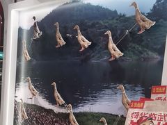 -舜华临武鸭·湖南零食特产(三王街店)