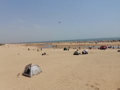 -日照海滨国家森林公园