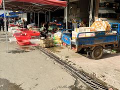 -上海龙吴水胜海发市场