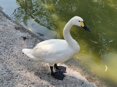 -北京鹿世界主题园