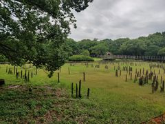 -河姆渡遗址博物馆
