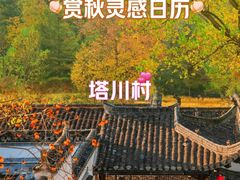 -塔川景区