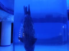 -上海海昌海洋公园-冰山北极馆