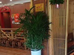 -老雒阳面馆·水席(洛宁高速路口店)