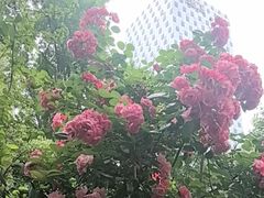 -大妙火锅·非物质文化遗产(东湖公园店)