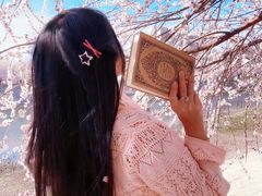 -桃花堤公园