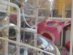-萨卡屋亲子乐园·餐厅(龙山万物工场店)