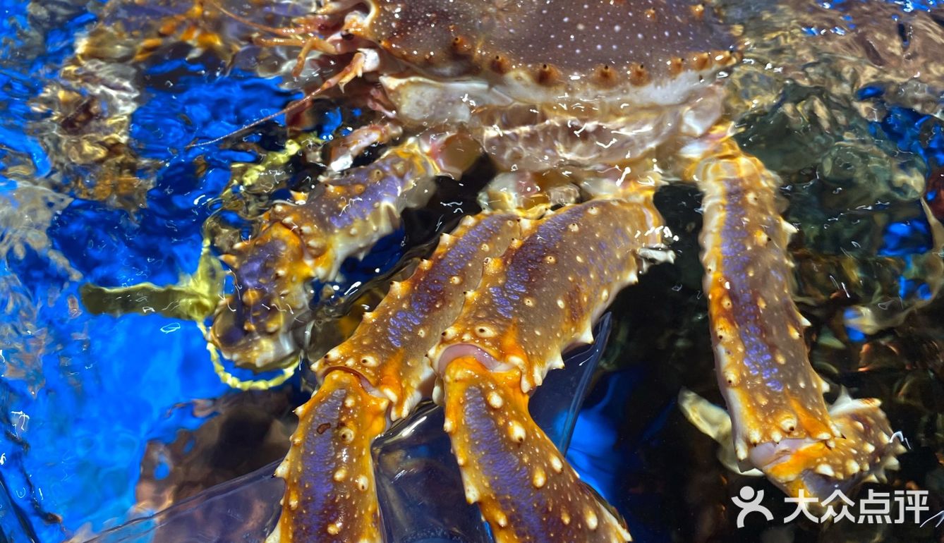 京城解暑纳凉的好地方 |周末闲逛[加油] 