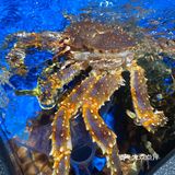 京城解暑纳凉的好地方 |周末闲逛[加油] 