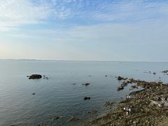 -养马岛旅游度假区