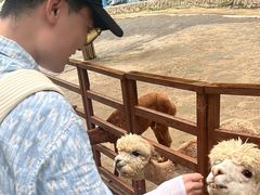 -栾川竹海野生动物园