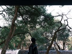 -凤凰御元艺术基地
