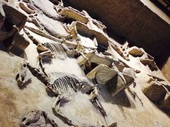 -洛阳周王城天子驾六博物馆