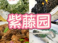 -紫藤园·天目湖大鱼头(南山竹海店)