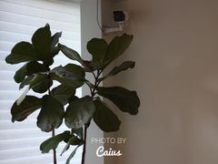 大堂-dotcom coffee古点咖啡(致真大厦店)