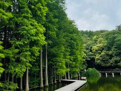 -采石矶景区