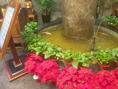-古莲·影院足道·按摩SPA(水上温泉店)