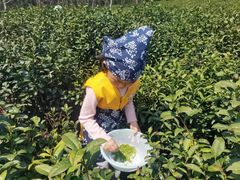 -橡皮虫国际美校(常发广场校区)