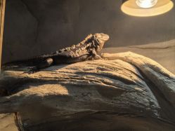 -Zoolung Zoolung动物主题公园(海信广场店)