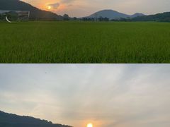 -艾米稻香小镇