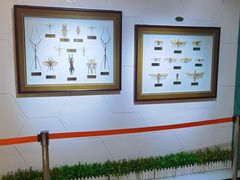 -上海昆虫博物馆