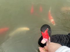-雅达·阳羡溪山小镇中心