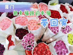 -溪岸路花鸟市场