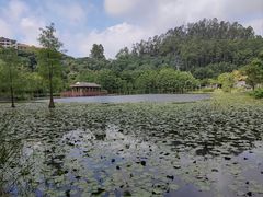 -顺峰山公园
