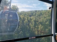 -普陀山风景区-佛顶山