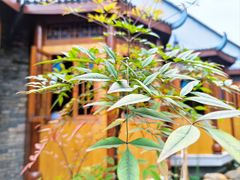 -小隐院子·庭院餐厅(大学城后湖店)