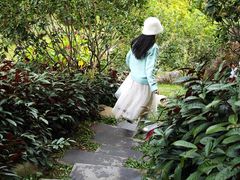 -云溪植物园