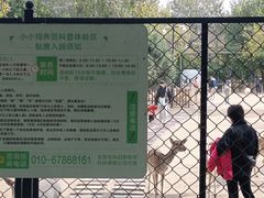 -北京麋鹿生态实验中心