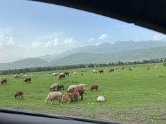 -新疆那拉提国家旅游度假区