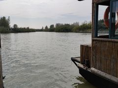 -泗洪洪泽湖湿地景区