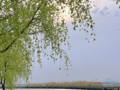 -阳澄湖半岛旅游度假区