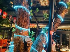 -海岛八号龙虾烧烤田鸡(蓝天路总店)