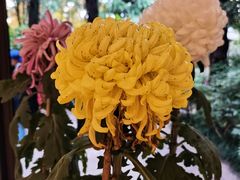 -汇龙潭