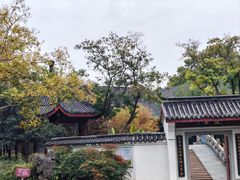-堤角公园