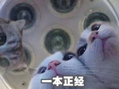 -卓粤拉肠(红庙店)