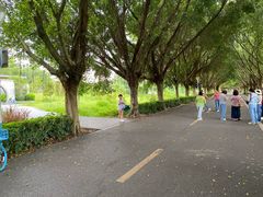 -风云岭森林公园