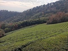 -敬亭山风景名胜区