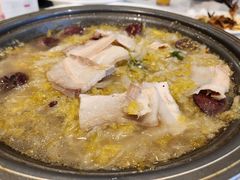 -邵年鸽(杨庄店)