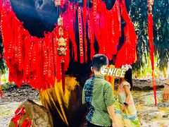 -瑞丽独树成林风景区